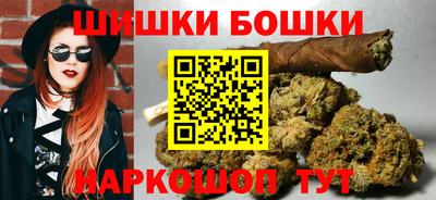 индика Будённовск