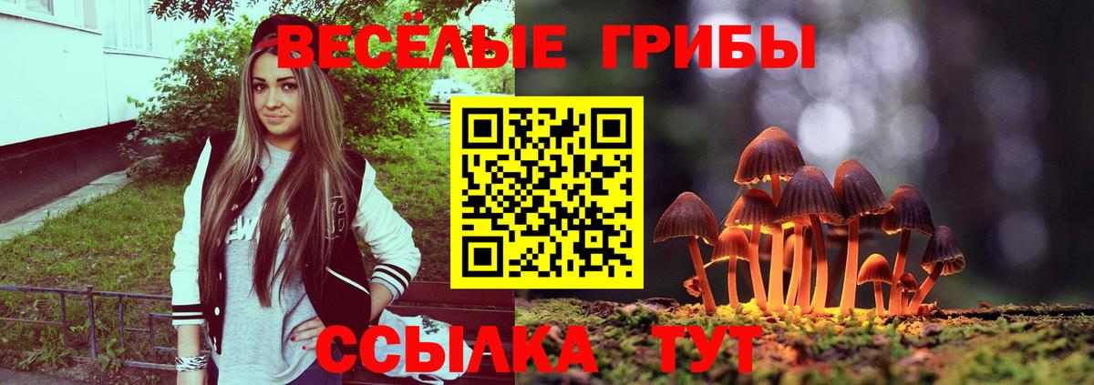 Псилоцибиновые грибы MAGIC MUSHROOMS Шадринск