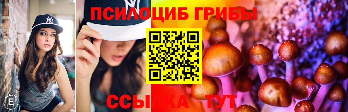 Галлюциногенные грибы мицелий  Псилоцибиновые грибы мухоморы  Вход с VPN  купить наркотики цена  Шадринск 
